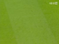 Ӣ������ ������VS��˹��ά�� 20251102