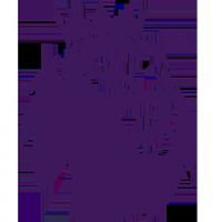 Ӣ�� ŵ����ɭ��vs������20251130