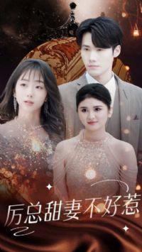 �������޲�����