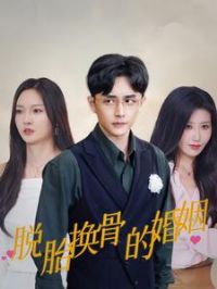 ��̥���ǵĻ���